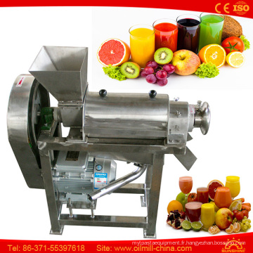 Machine à jus de gingembre Presse à froid Concombre Légume Poire Jus de pomme